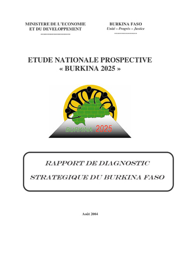 534 Min Econo 2004 ENP Rapport de diagnostic stratégique  BF 2025