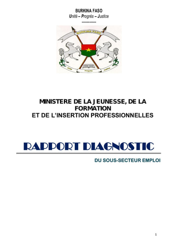 716 Min Jeunesse 2017  Rapport diagnostic sous secteur emploi BF