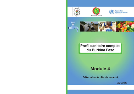 506 Mini santé 2017 Profil sanitaire complet  BF