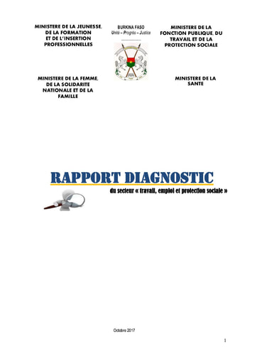 726 Min Santé  2017 Rapport diagnostic secteur travail emploi  protection sociale BF