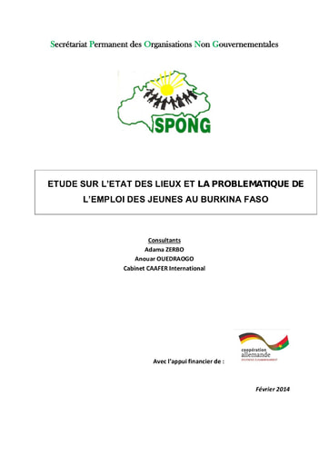 736 SPONG 2014 état des lieux problématique  emploi des jeunes BF